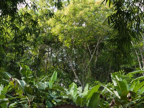 Artejanis Kooperationen