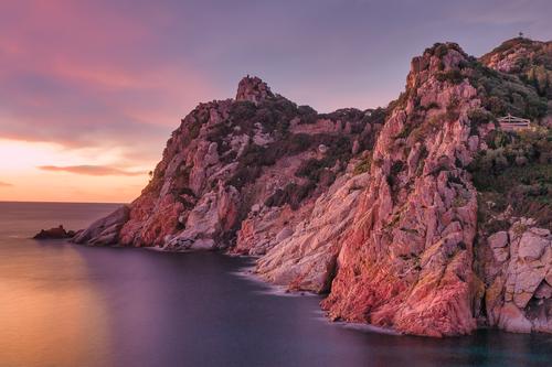 Artejanis' Living Laboraty