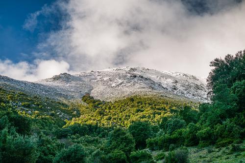 Artejanis - A School of Life Crafting